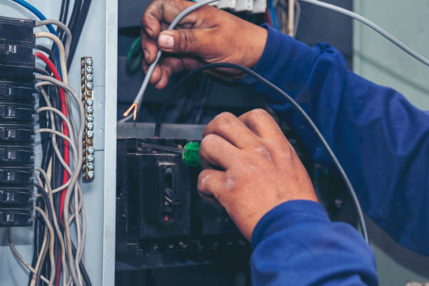 Best Electrical Upgrades for Homes  in Biscoe, NC